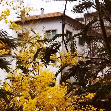Casa Do Rio Gasthuis Termas de Sao Pedro do Sul