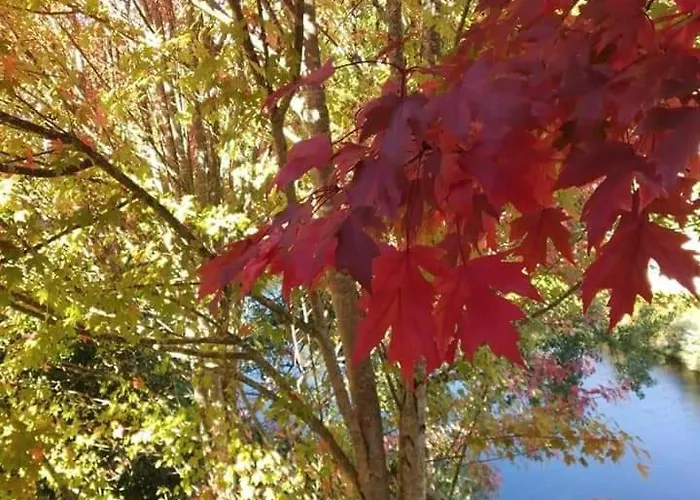 Casa Do Rio Casa de hóspedes