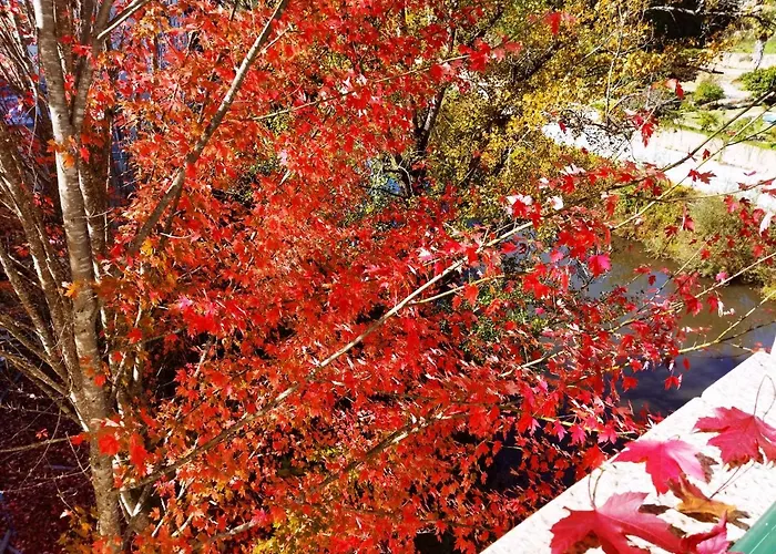 Casa Do Rio Casa de hóspedes Termas de São Pedro do Sul